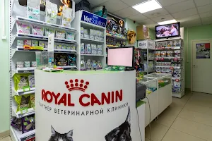 Зоолого-Ветеринарная клиника БАГИРА | ветклиника, груминг Саратов image