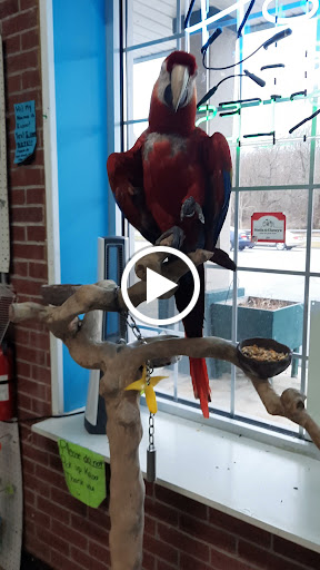 Pet Store «Pet Pro», reviews and photos, 1606 NY-82, Lagrangeville, NY 12540, USA