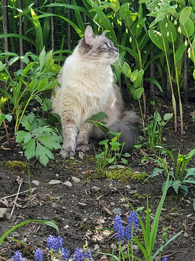 Pet Supply Store «Pet Source», reviews and photos, 620 Constitution Ave, Littleton, MA 01460, USA