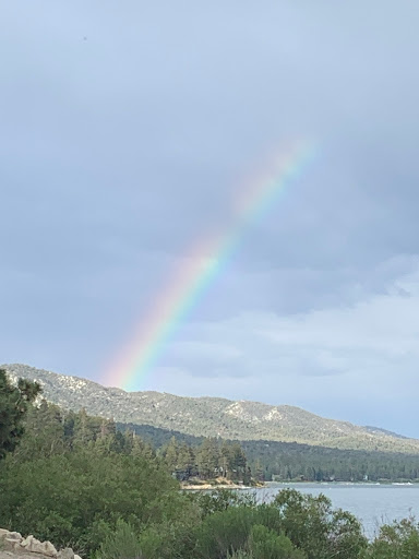 Becki Wheeler REMAX Big Bear image