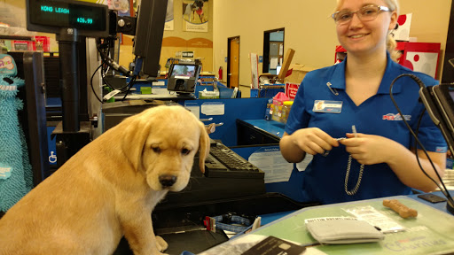 Pet Supply Store «PetSmart», reviews and photos, 4900 Monticello Ave, Williamsburg, VA 23188, USA