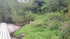 Paseo Fluvial do río Sarela