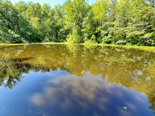 Park «Blacklick Woods Metro Park», reviews and photos, 6975 East Livingston Avenue, Reynoldsburg, OH 43068, USA