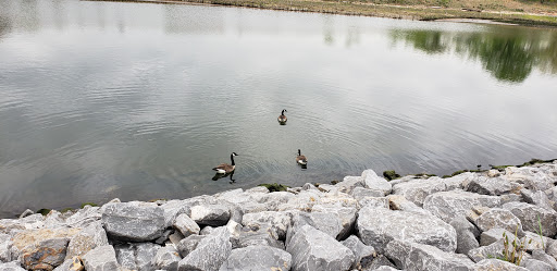 Park «Bush Terminal Piers Park», reviews and photos, Marginal St. & 43rd Street, Brooklyn, NY 11232, USA