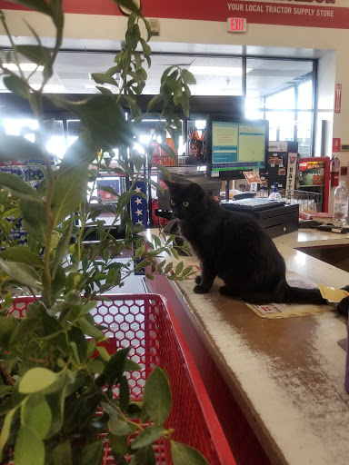 Home Improvement Store «Tractor Supply Co.», reviews and photos, 1407 Interstate 45 N, Conroe, TX 77304, USA