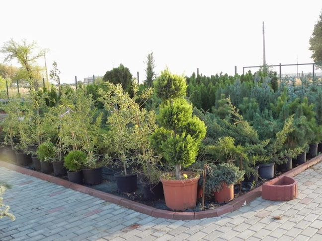 https://magicgardentecuci.ro/