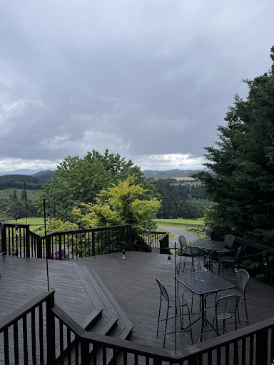 Vineyard «Willamette Valley Vineyards», reviews and photos, 8800 Enchanted Way SE, Turner, OR 97392, USA