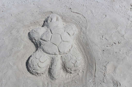 Tourist Attraction «Beach Sand Sculptures», reviews and photos, 15000 Emerald Coast Pkwy, Destin, FL 32541, USA