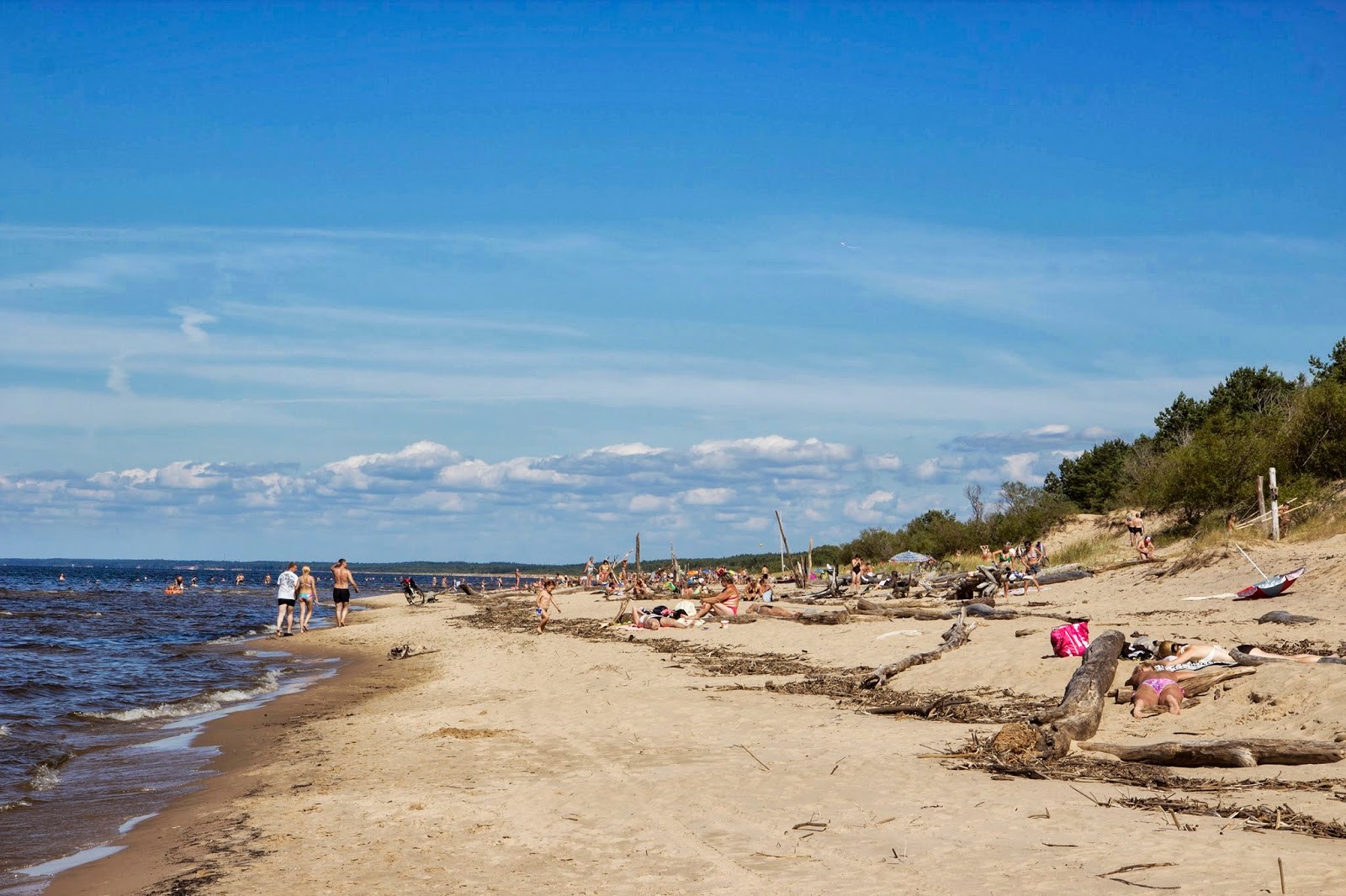 Gauja beach的照片 带有宽敞的海岸