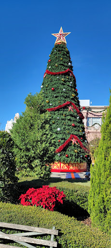 Roller Coaster «Revenge of the Mummy», reviews and photos, 6000 Universal Blvd, Orlando, FL 32819, USA