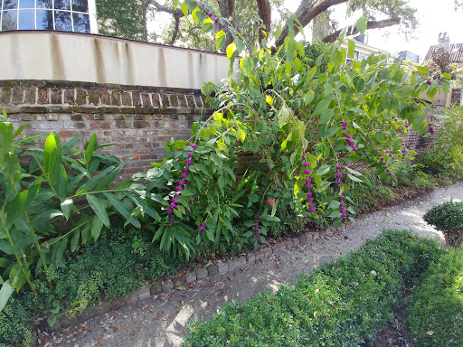 Museum «Heyward-Washington House», reviews and photos, 87 Church St, Charleston, SC 29403, USA