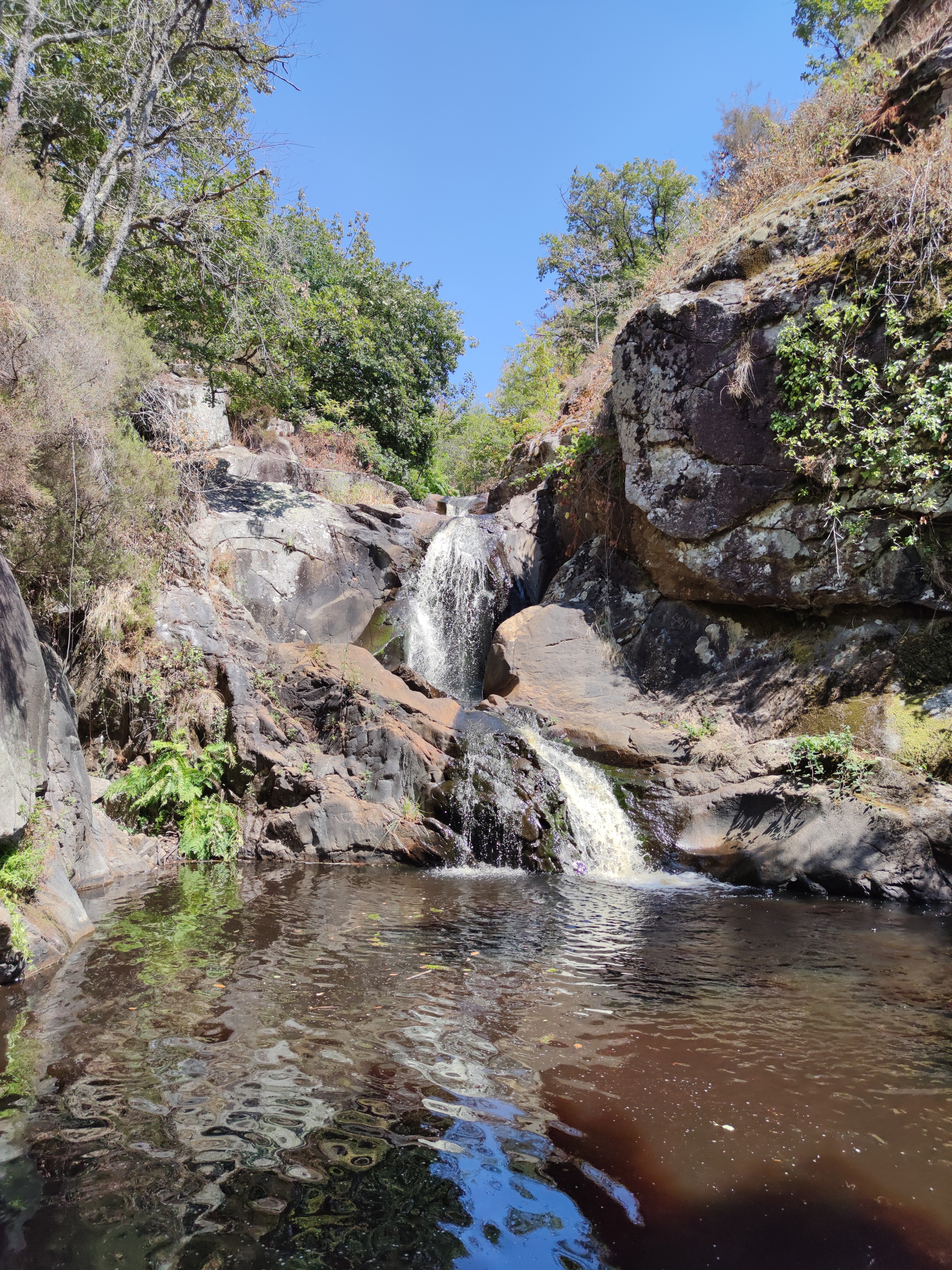 Photo n° 1 de l'avis de Julien.o fait le 16/08/2022 à 17:20