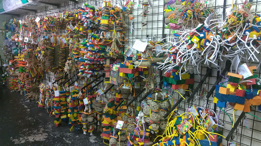 Pet Store «Perky Pets», reviews and photos, 4515 Palm Beach Blvd d, Fort Myers, FL 33905, USA