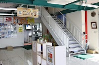 車検のコバック 茂原店