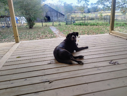 Fort Payne Animal Hospital image