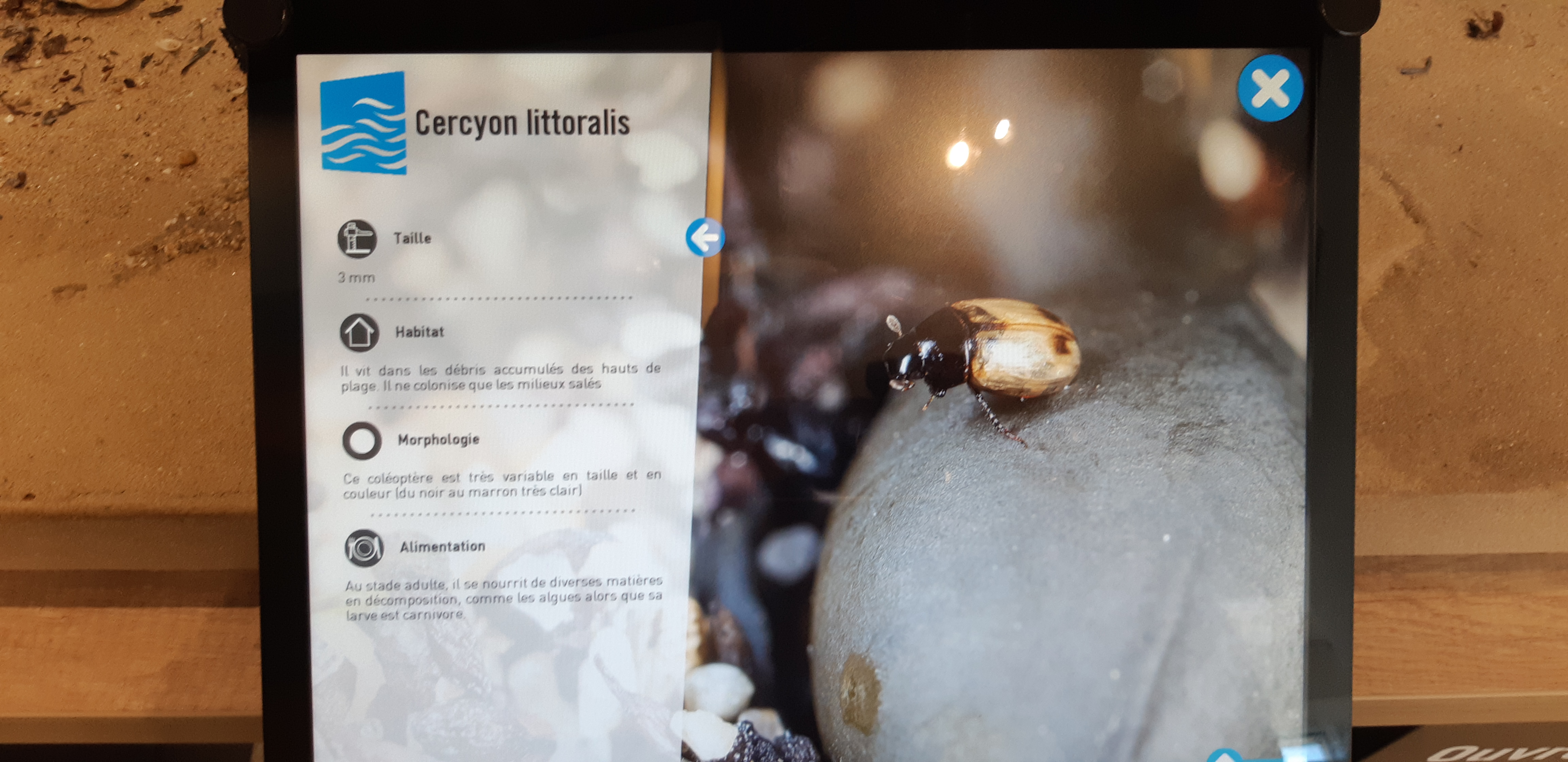 Photo n° 5 de l'avis de Yannick.a fait le 15/10/2018 à 10:38