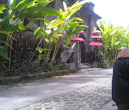 Bali Aquarium. CV photo