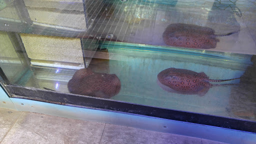 Pet Store «Aqua World Pet Super Center», reviews and photos, 8143 Ohio River Blvd, Pittsburgh, PA 15202, USA