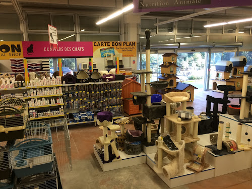 Magasin d'articles pour animaux Kokoon Animal Shop Vallauris Vallauris