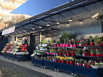 Monceau Fleurs à Angers