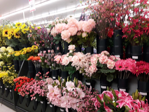 Craft Store «Hobby Lobby», reviews and photos, 7645 W Bell Rd, Peoria, AZ 85382, USA