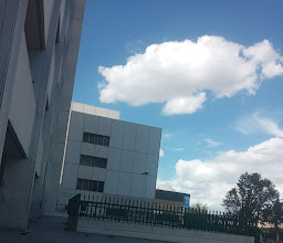 IMSS - Unidad Médica de Alta Especialidad No. 25 photo