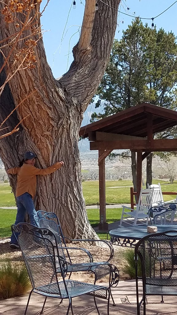 Wind Dancer Bar & Grill 87004