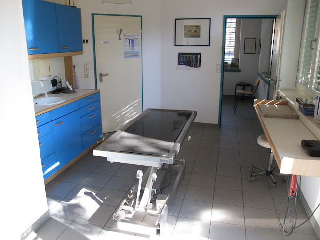 Rezensionen über Studio Veterinario Manetti Sagl in Lugano - Tierarzt
