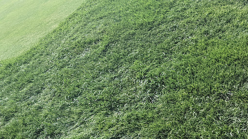 Golf Club «Inverness Club», reviews and photos, 4601 Dorr St, Toledo, OH 43615, USA