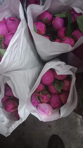 Florist «The Flower Place», reviews and photos, 860 NE 79th St, Miami, FL 33138, USA