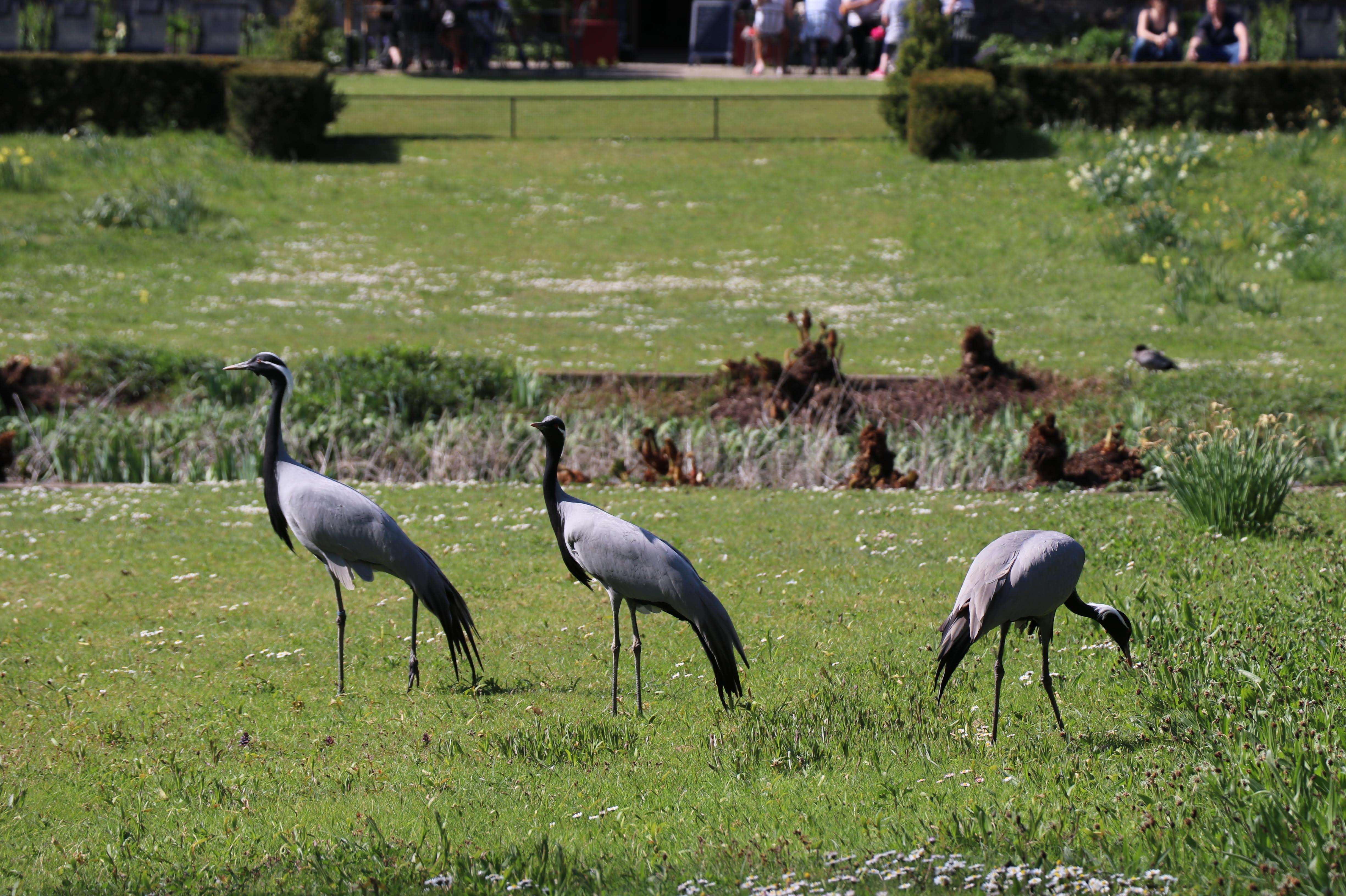 Photo n° 1 de l'avis de Julien.a fait le 21/04/2019 à 07:39