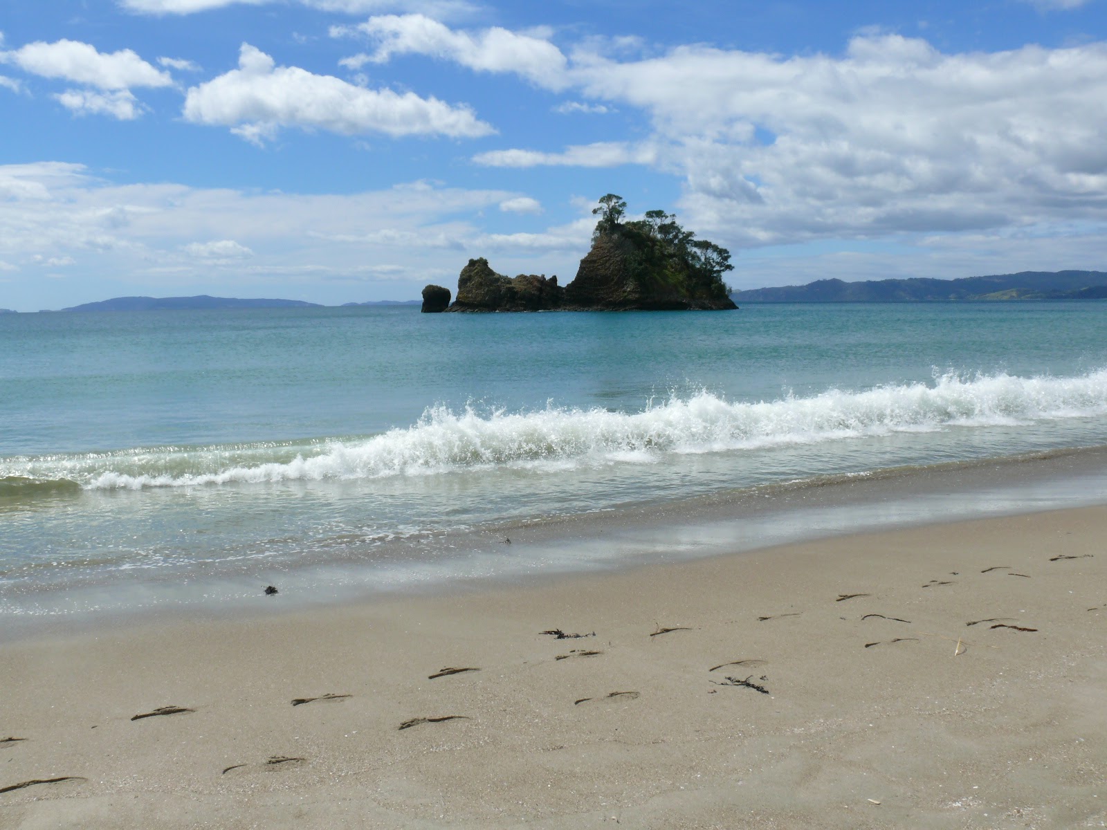 Whangapoua Beach的照片 - 适合度假的宠物友好场所