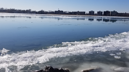 Zoo «Belle Isle Nature Center», reviews and photos, 176 Lakeside Dr, Detroit, MI 48207, USA