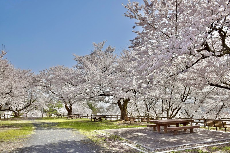 寒河江公園さくらの丘