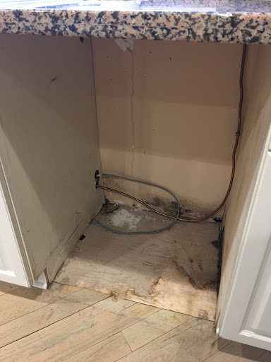 Loss Adjuster «Reliant Adjusters Group Public Insurance Adjuster», reviews and photos