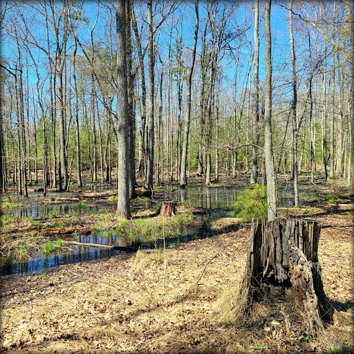 State Park «Caledon State Park», reviews and photos, 11617 Caledon Rd, King George, VA 22485, USA