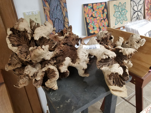 Surplus Store «Scroungers Paradise», reviews and photos, 9 Hickman Dr, Asheville, NC 28803, USA