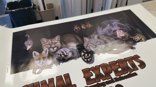 Sign Shop «FASTSIGNS», reviews and photos, 3988 N Oracle Rd, Tucson, AZ 85705, USA