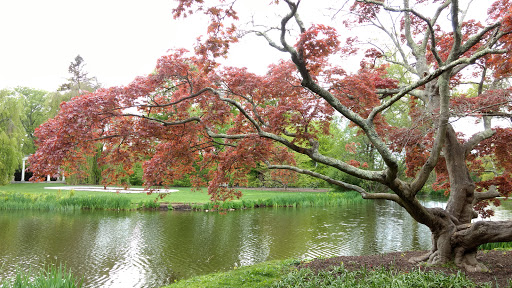 Tourist Attraction «Old Westbury Gardens», reviews and photos, 71 Old Westbury Rd, Westbury, NY 11590, USA