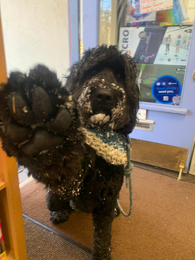 Toy Store «Toy Store», reviews and photos, 183 Gore Creek Dr, Vail, CO 81657, USA