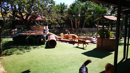 Hotel para Mascotas Villa de Perros