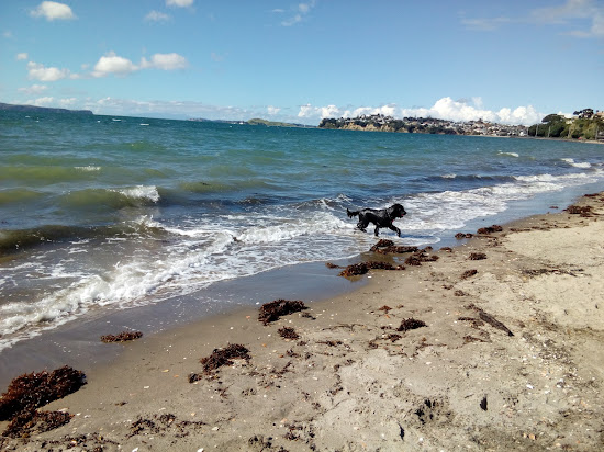 Kohimarama Beach