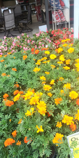 Home Improvement Store «The Home Depot», reviews and photos, 3451 NW Federal Hwy, Jensen Beach, FL 34957, USA