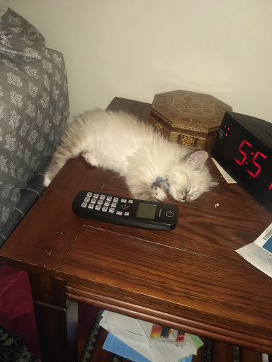 Pet Supply Store «Pet Supplies Plus», reviews and photos, 1411 S Stockton St, Lodi, CA 95240, USA