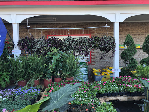 Hardware Store «Classic Ace Hardware», reviews and photos, 1622 Woodruff Rd, Greenville, SC 29607, USA