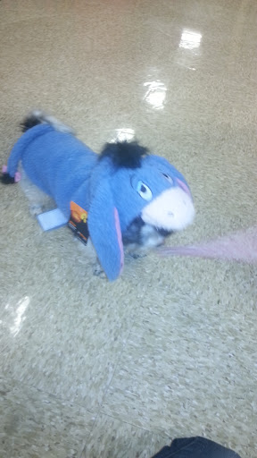 Pet Supply Store «PetSmart», reviews and photos, 45 Park Pl Dr, Covington, LA 70433, USA