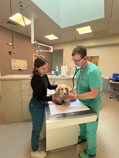 WAGS Animal Hospital image