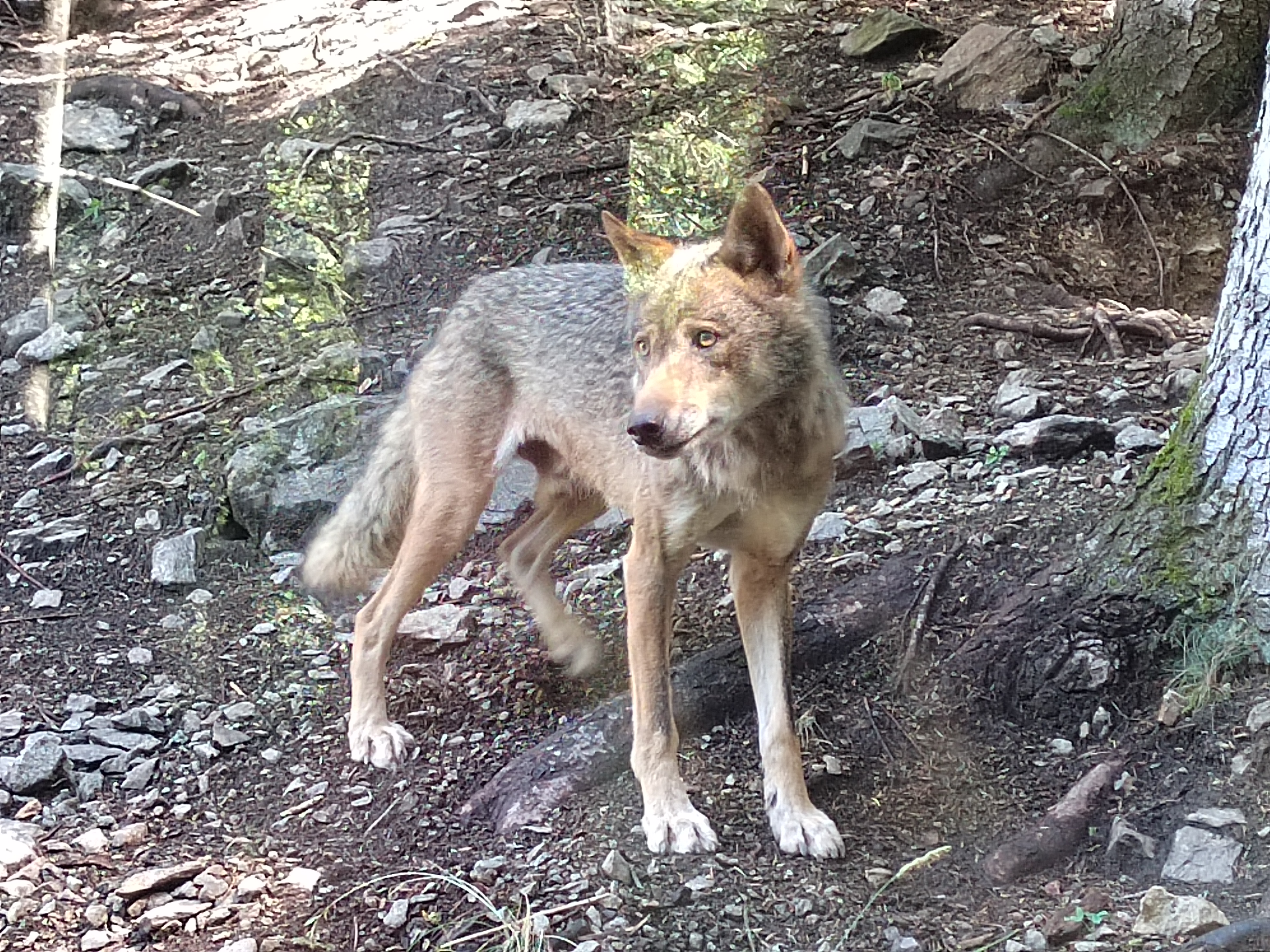 Photo n° 5 de l'avis de Cristelle.s fait le 30/06/2020 à 11:59
