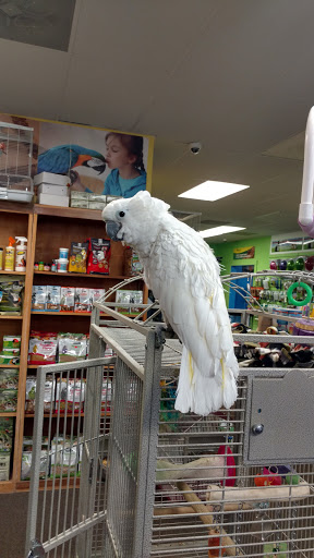 Pet Store «Simply Pets», reviews and photos, 1977 S Military Hwy, Chesapeake, VA 23320, USA