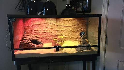 Pet Supply Store «PetSmart», reviews and photos, 3450 N Morrison Rd, Muncie, IN 47304, USA